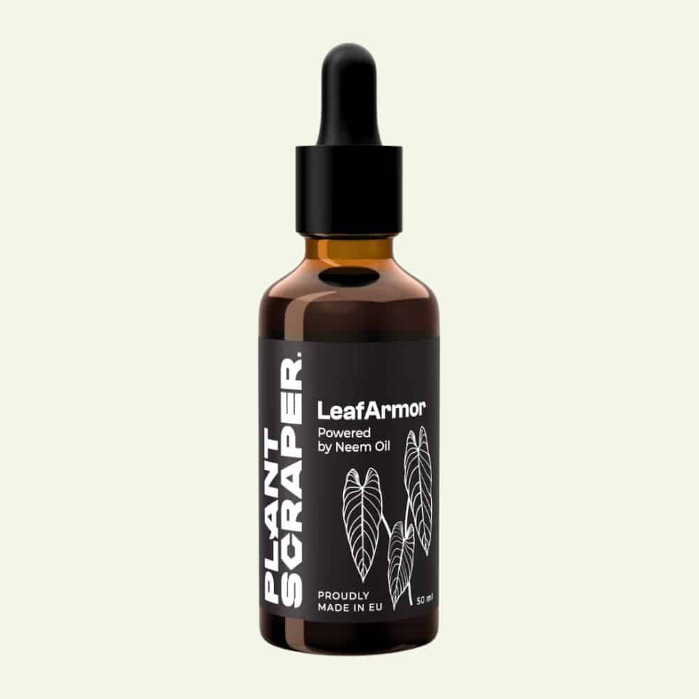Huile de neem (50 ml) - insecticide naturel