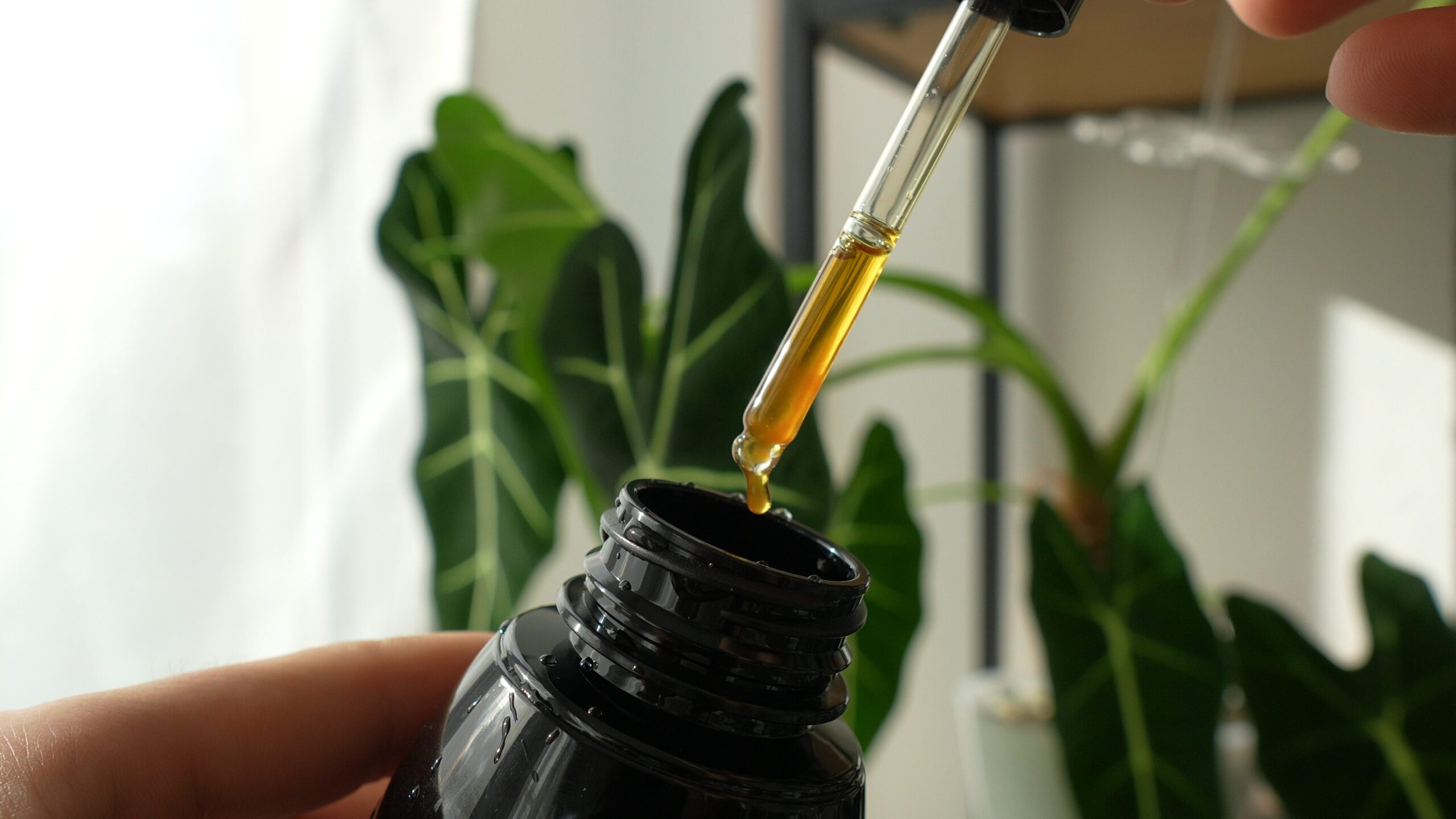 Huile de neem (50 ml) - insecticide naturel 4