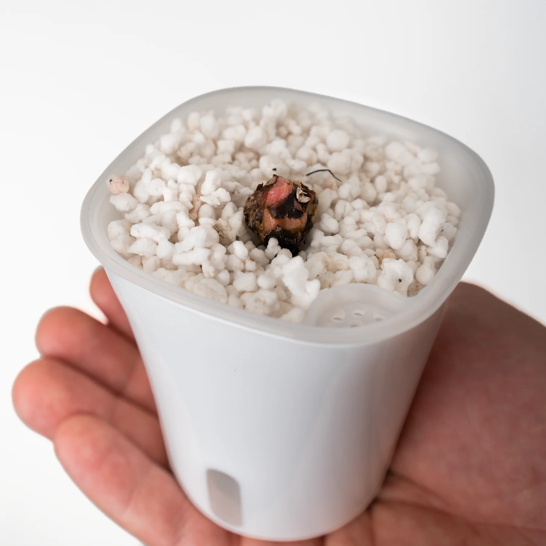 Perlite Perlite - 8,5 l 3