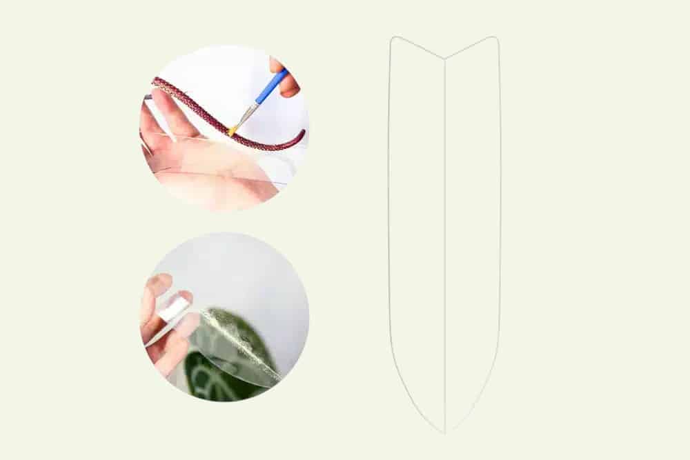 Collecteur de pollen Pollector pour la pollinisation contrôlée des plantes