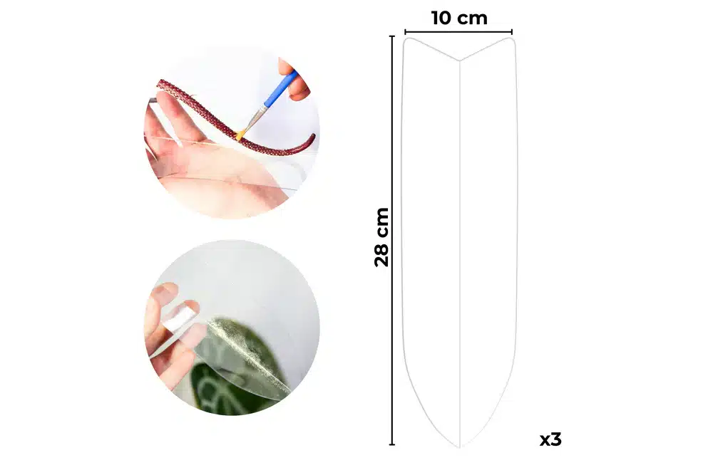 Collecteur de pollen Pollector pour la pollinisation contrôlée des plantes 3