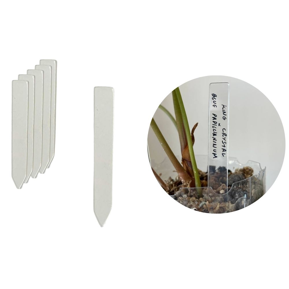 Étiquettes en acrylique pour l’identification des plantes 3