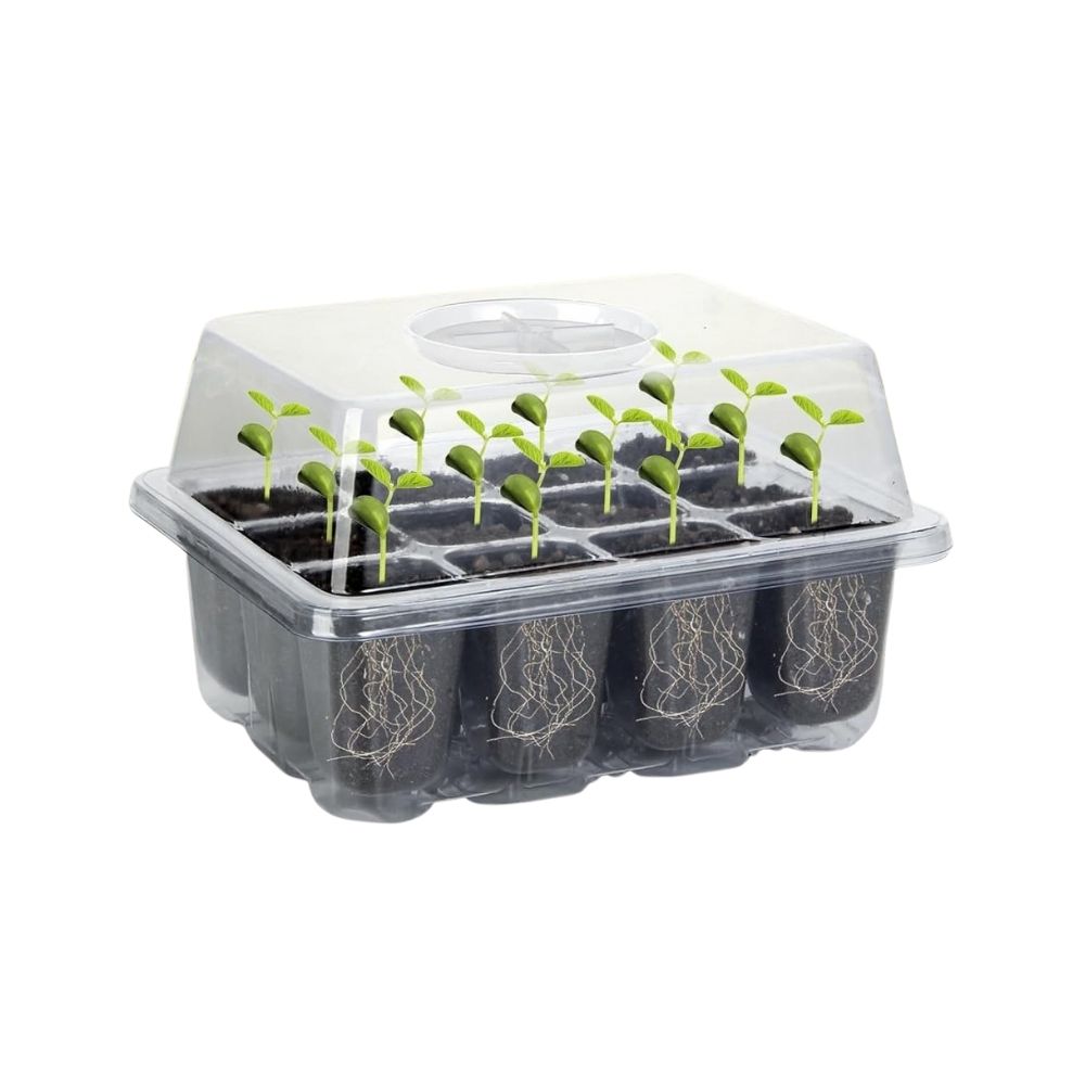 Mini-serre de propagation pour 12 semis 4
