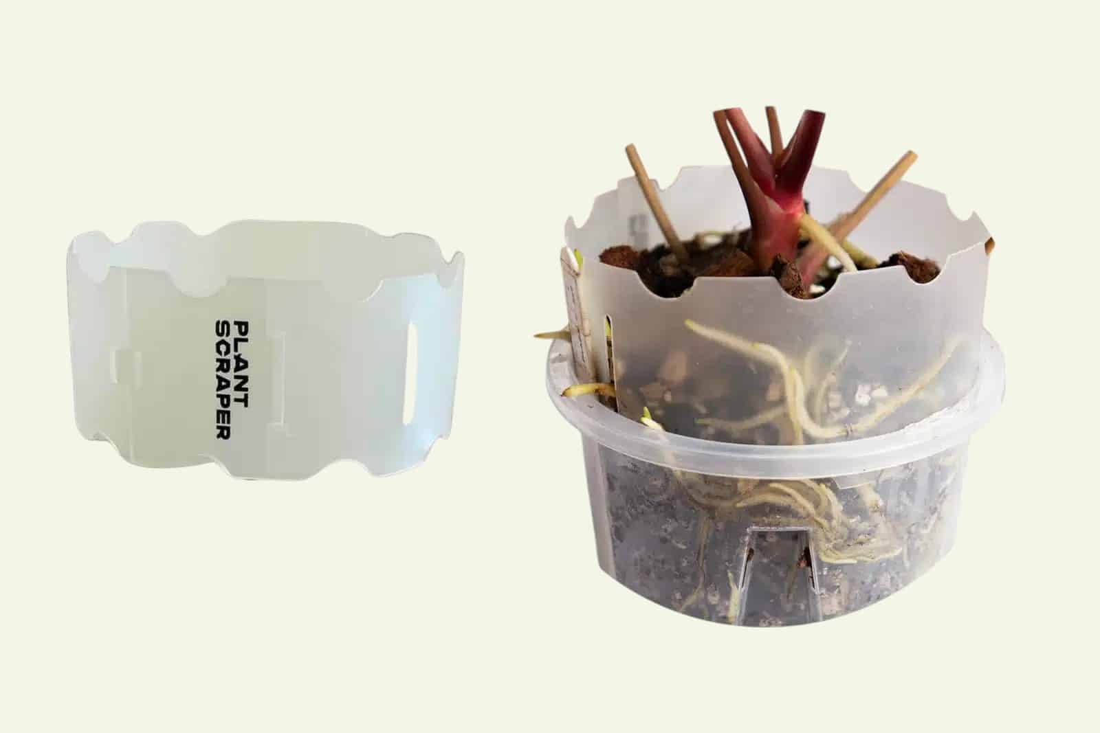 Rallonge de pot pour anthuriums