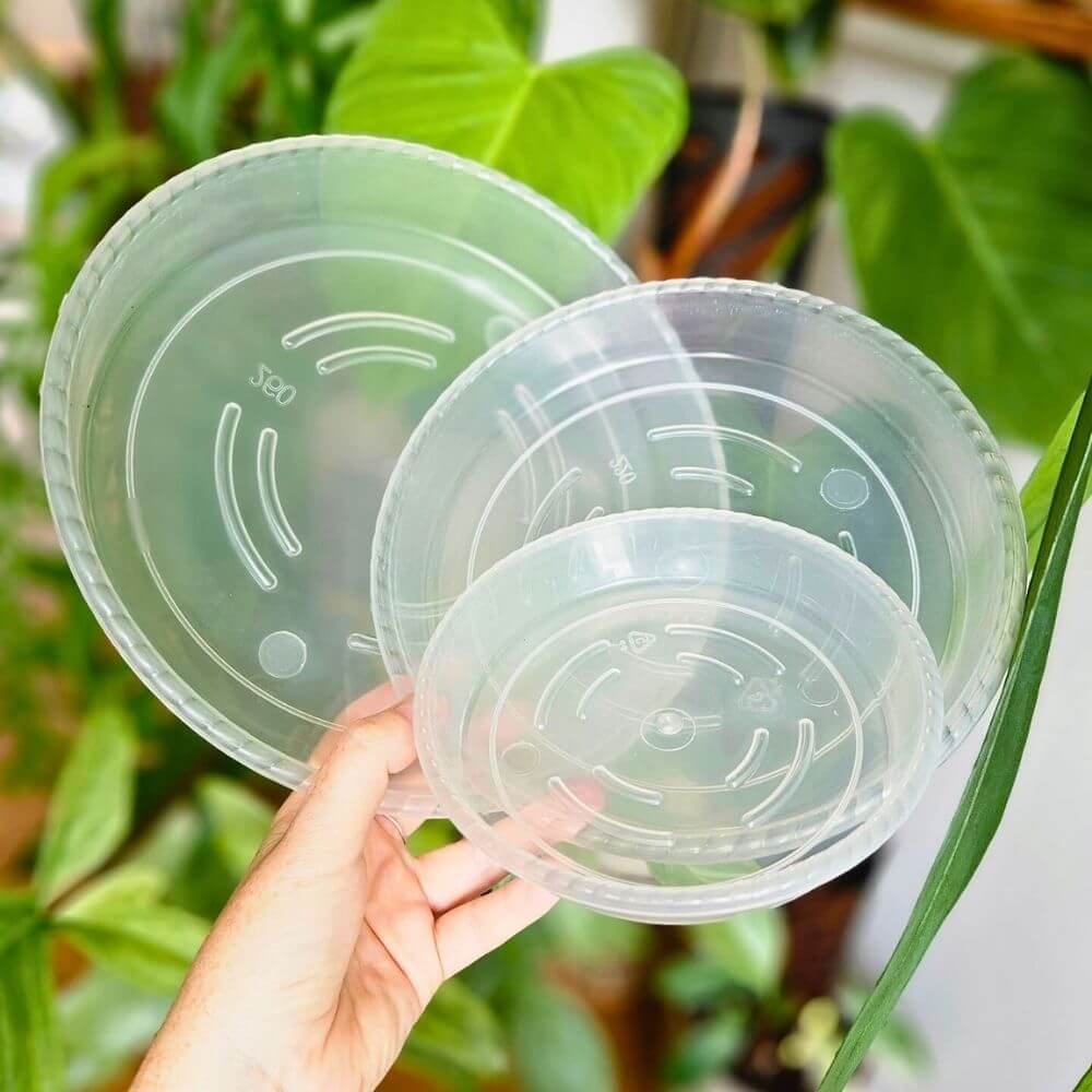 Soucoupe pour pot de fleurs 2