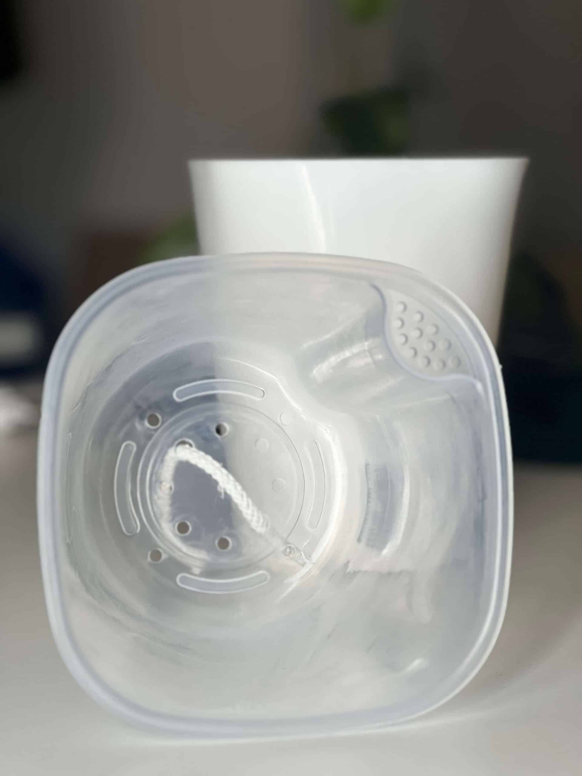 Pot auto-arrosant avec insert transparent 4