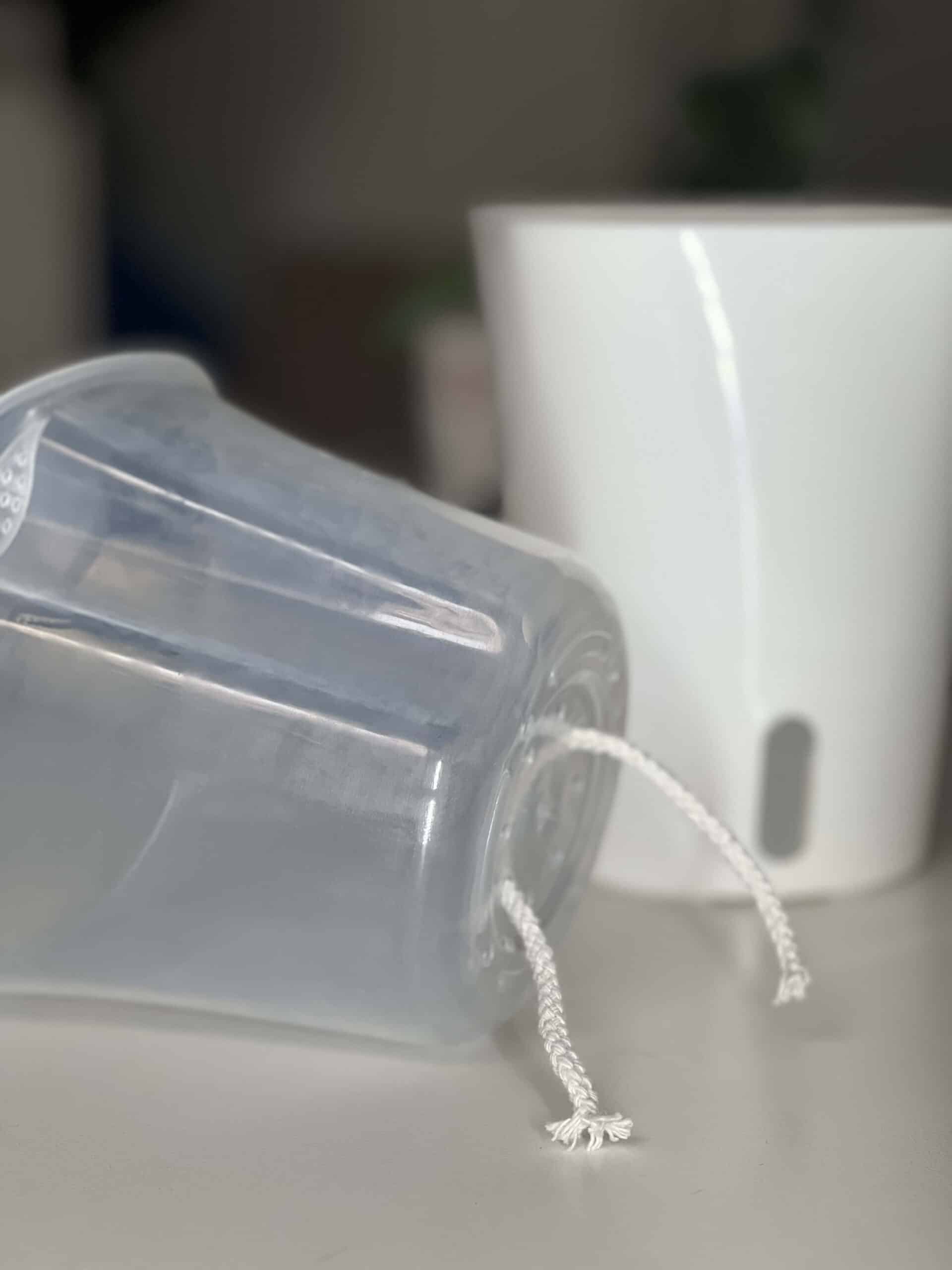 Pot auto-arrosant avec insert transparent 5