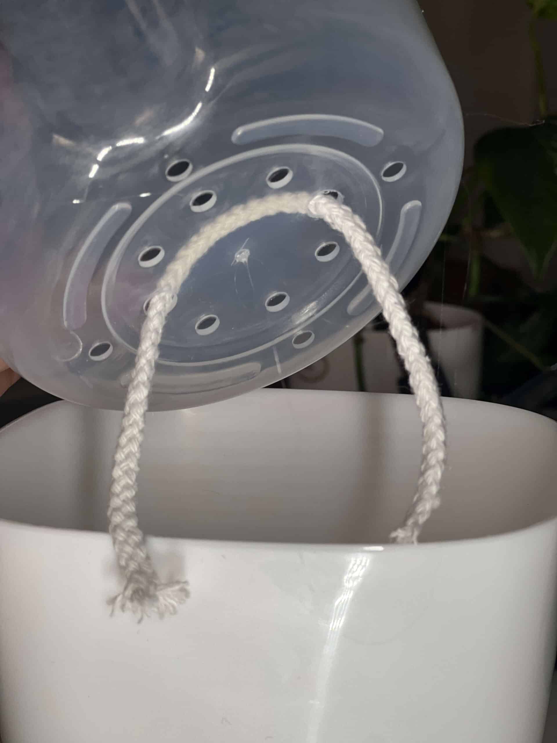 Pot auto-arrosant avec insert transparent 6