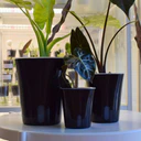 Pot auto-arrosant avec insert transparent 20