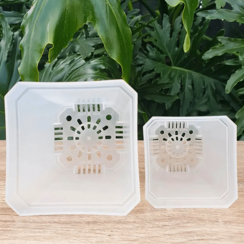 Pot avec couvercle pour petites plantes 3