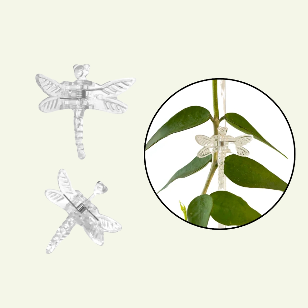 Clips pour plantes