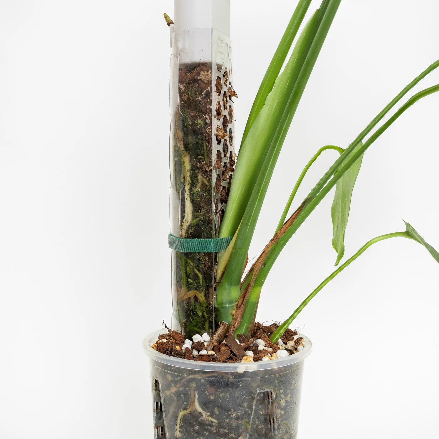 Substrat pour tuteurs en sphaigne  - 8,5 l 4