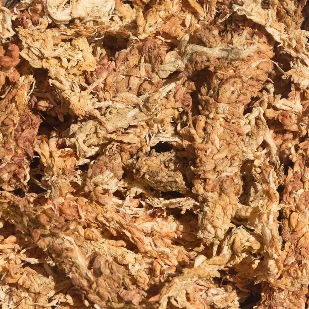 Sphaigne (Sphagnum Moss) 2
