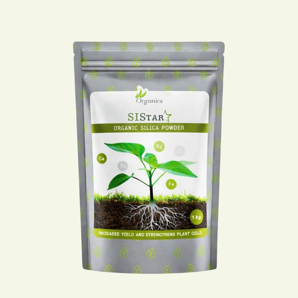 Si Star 500 g - minerální doplněk s křemíkem