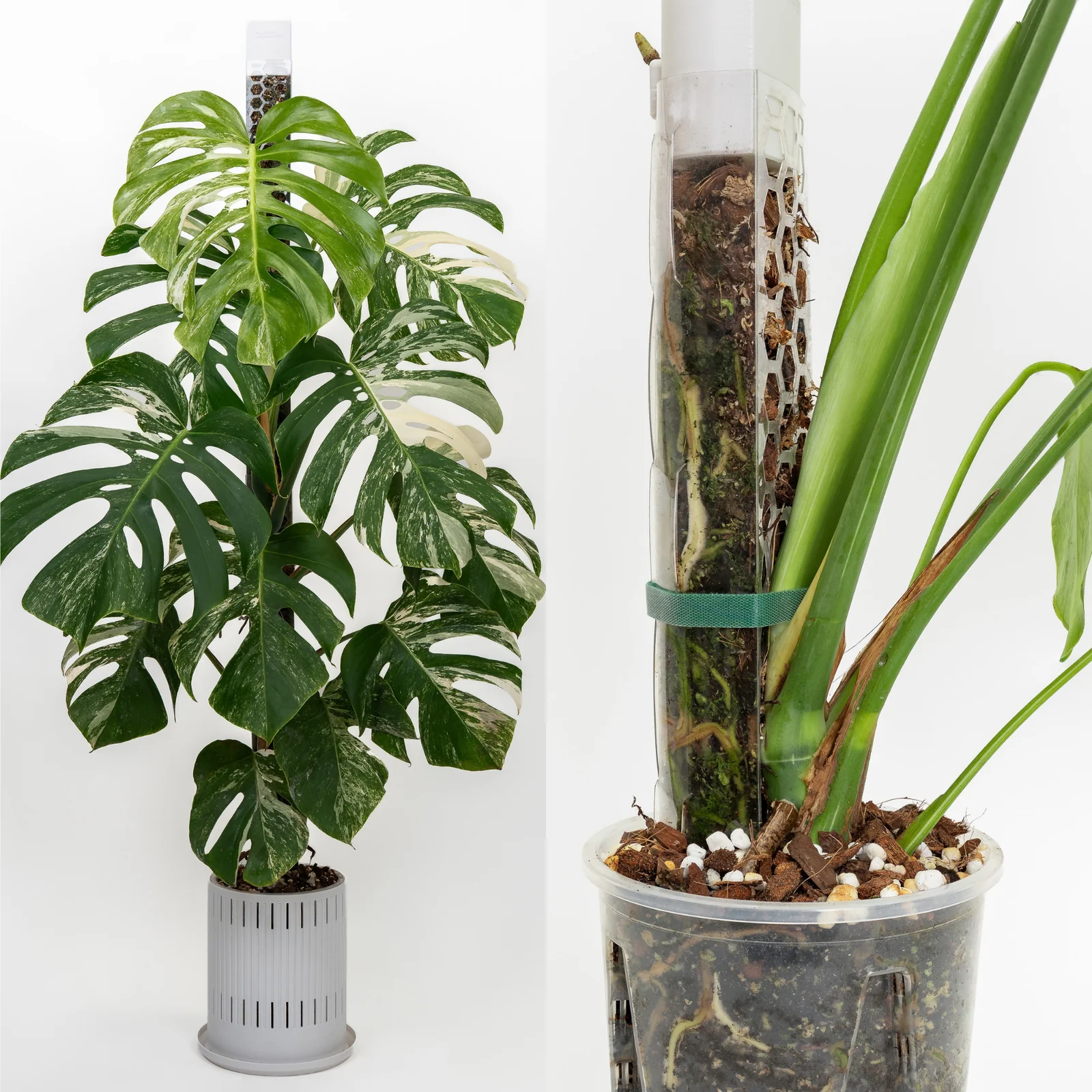 Substrat pour monstera - 8,5 l 3